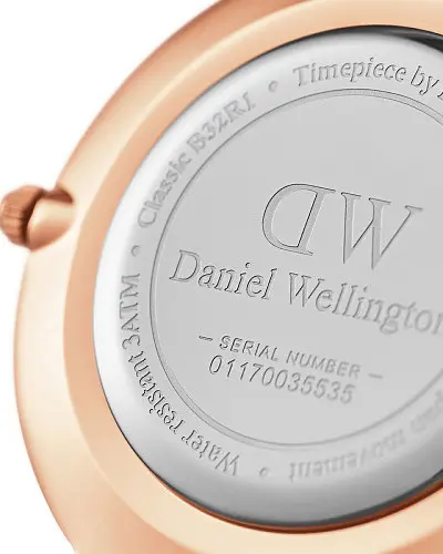 Daniel Wellington Petite Ashfield DW00100201